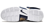 Кроссовки Nike Lebron Zoom Soldier 1 Think 16 (25 Straight)