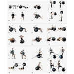 Фитбол Sportage 75 см 900гр с насосом, голубой