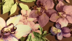 Микровелюр Xpoint (Икспоинт) 0016.07 Бабочки зеленое