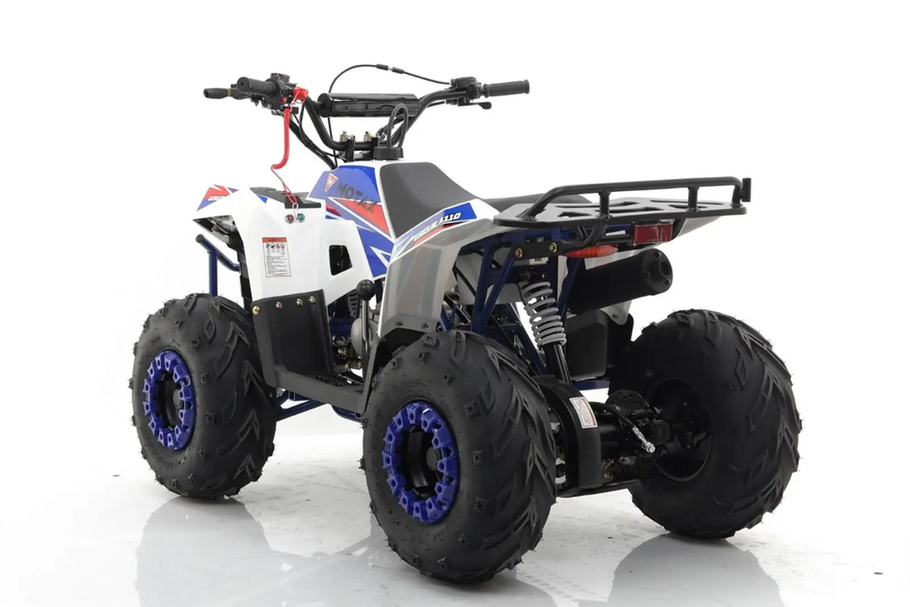 Квадроцикл MOTAX Grizlik A110