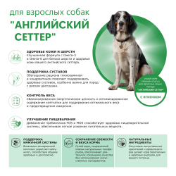 Корм сухой для взрослых собак породы Английский сеттер, с ягненком, 2.5 кг, QUATTRO