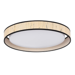 SLE6010-512-48 Светильник потолочный ST-Luce белый/бежевый, черный LED 1*48W 4000K VENTE