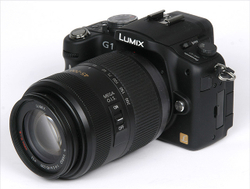 Panasonic H-FS045200E 45-200mm f/4.0-5.6 OIS II (РСТ)
