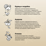 CRAFTIA NATURA Сухой корм для взрослых собак миниатюрных и мелких пород из курицы и индейки 640 г