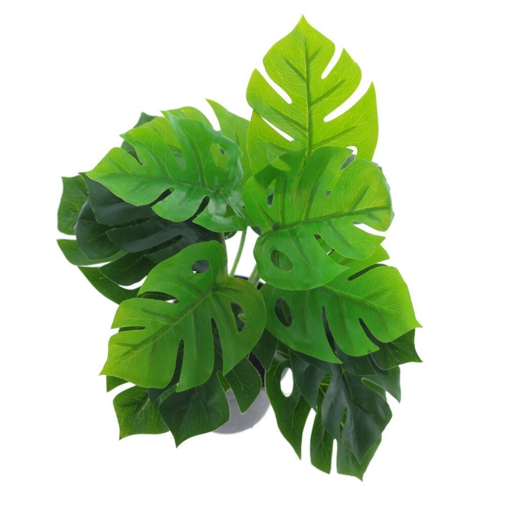 GAEM Цветочная композиция "Монстера", L33 W33 H35 см