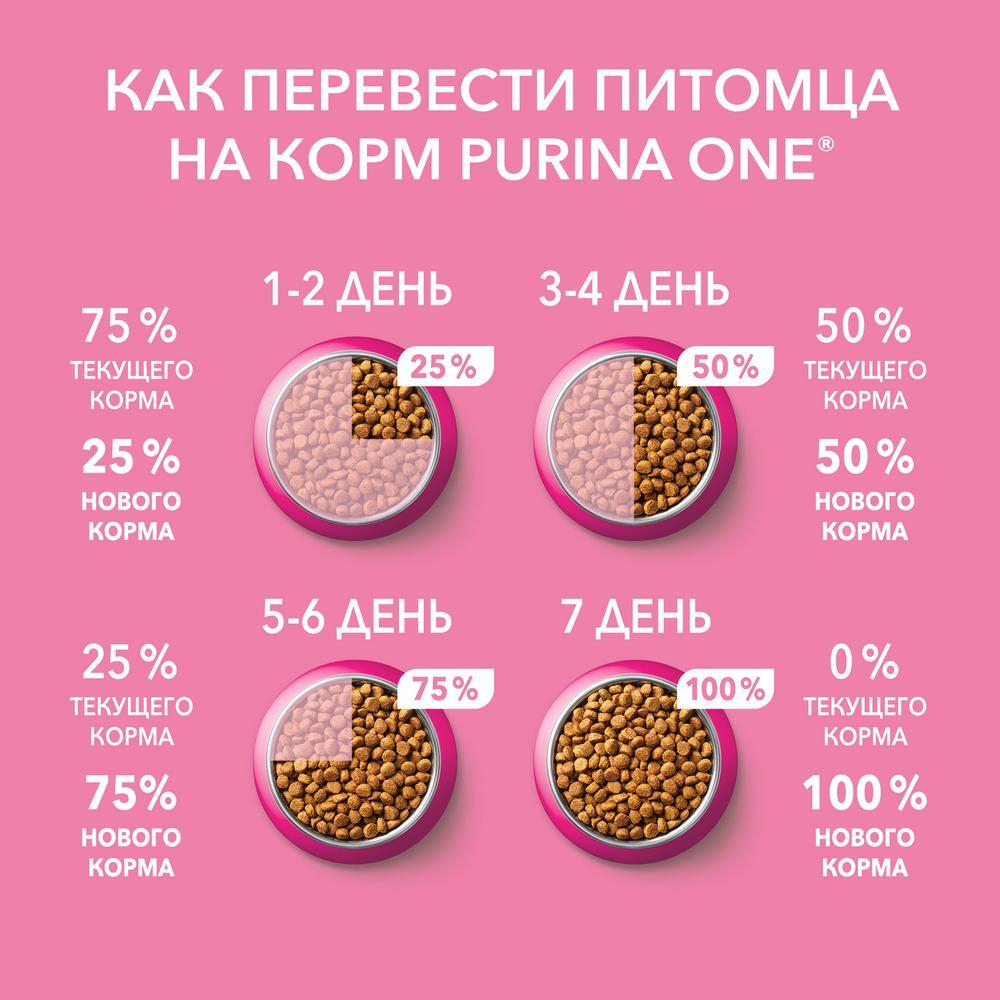 Курица с морковью, 75г влажный корм для котят от 1 до 12 месяцев Purina ONE