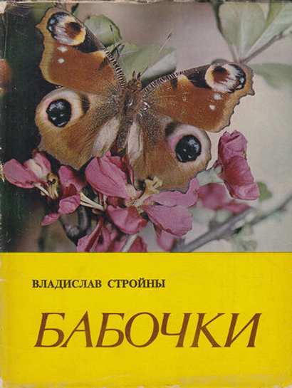 Владислав Стройны. Бабочки