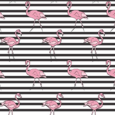 Розовые фламинго на черных линиях