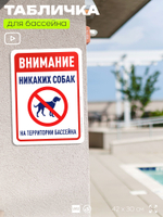 Табличка для бассейна "Внимание, никаких собак", на пляж, для общественной и частной зоны отдыха, информационная, 40х30 см, Silver Plane x Айдентика Технолоджи