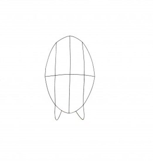 Ритуальный каркас-овал 1В (800*500)