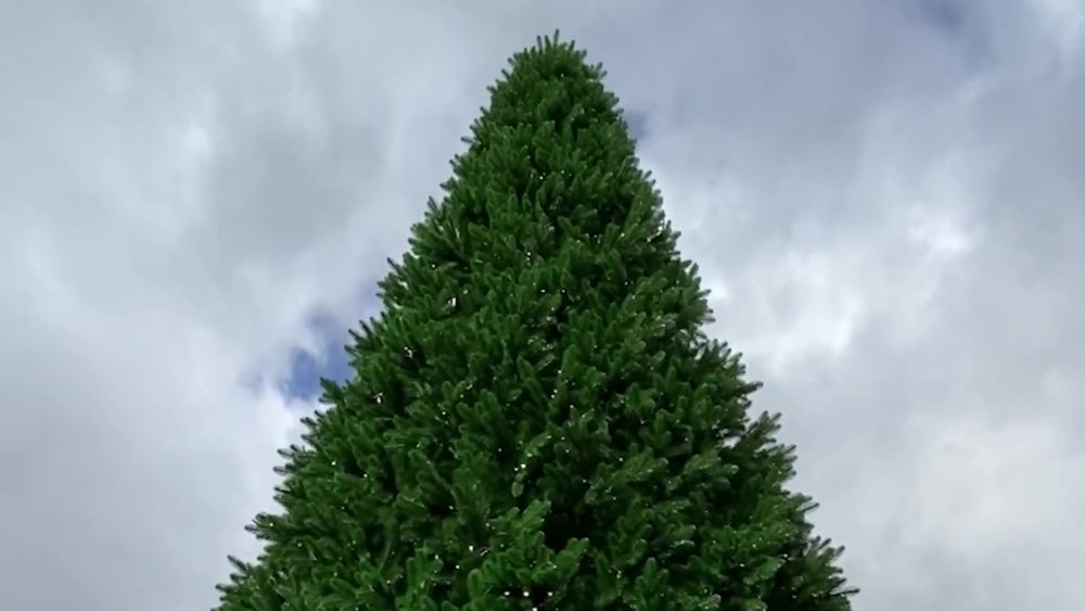 Ствольная елка с гирляндой встроенной «Изящная» (Литая хвоя) от 3 м до 8 м