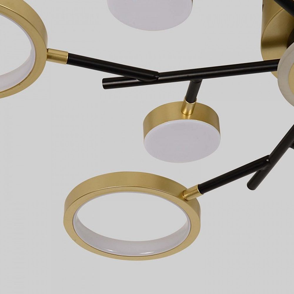 Потолочная люстра F-promo Hybrid 4686-13C