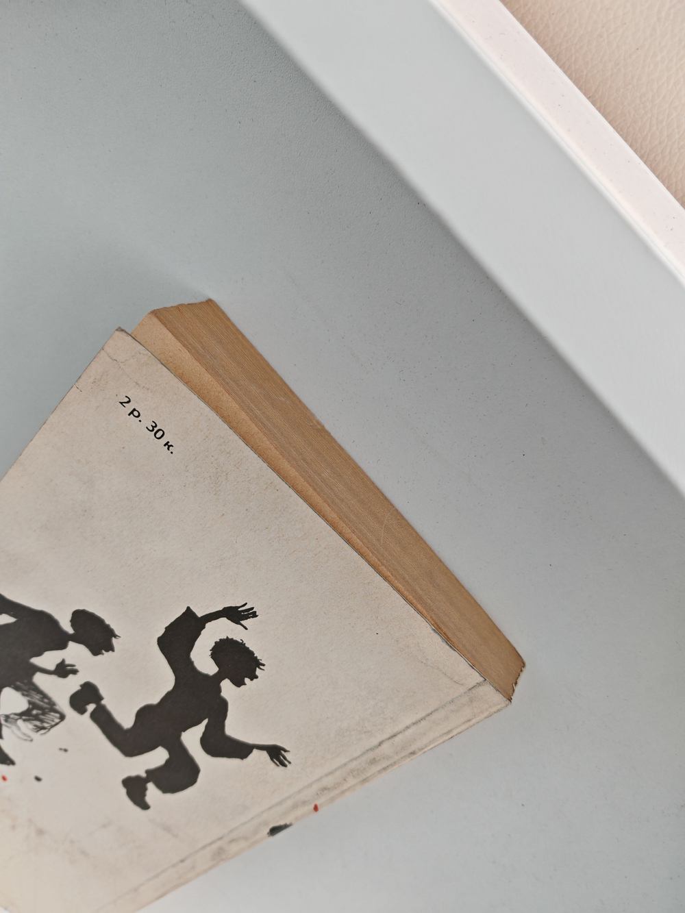 Республика ШКИД