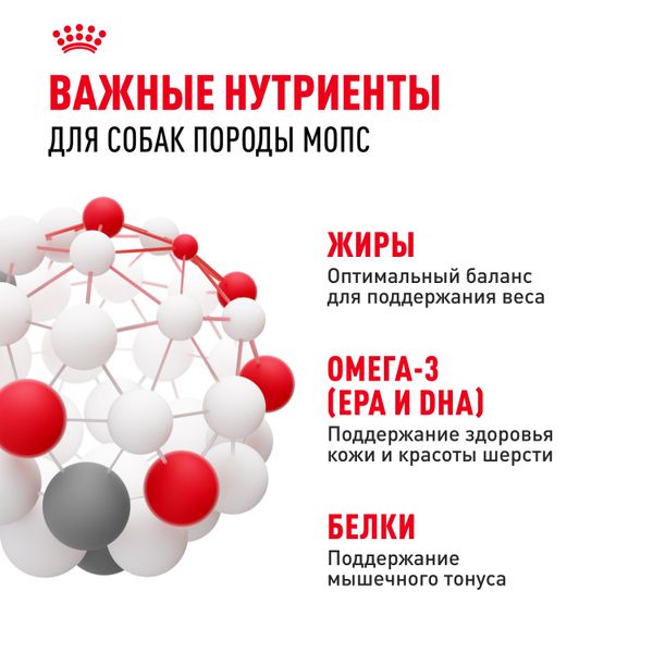 Сухой корм Royal Canin Pug Adult для взрослых собак породы Мопс от 10 месяцев