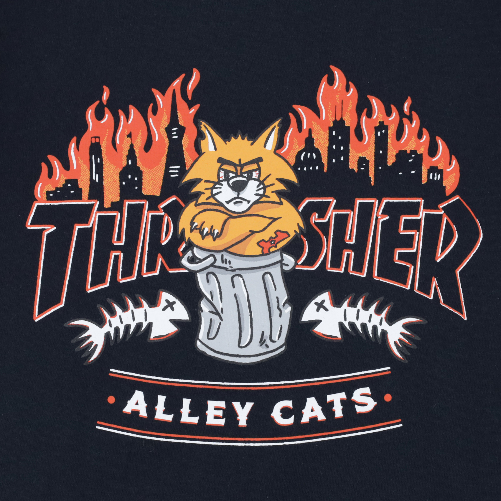 Лонгслив Thrasher Alley Cats L/S (black) артикул: - купить в магазине Дайс
