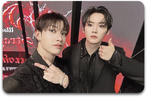 Карта / STRAY KIDS #2230