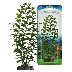 PENN-PLAX Растение BLOOMING LUDWIGIA грузом зеленое