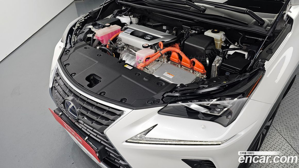 Lexus NX300h Executive (01.2020)