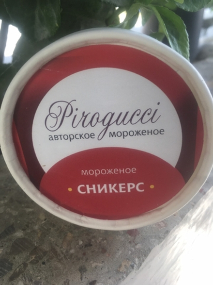 Мороженое на кокосовом молоке Сникерс (арахис-карамель) 120 г