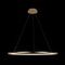 Подвесной светодиодный светильник Loft IT Ring 10014XL