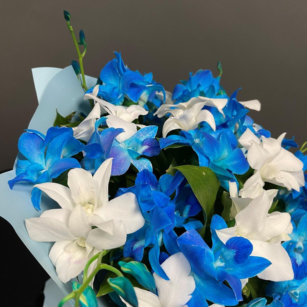 Букет орхидей «Космос-океан»