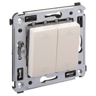 Переключатель двухклавишный в стену, "Avanti", "Ванильная дымка"