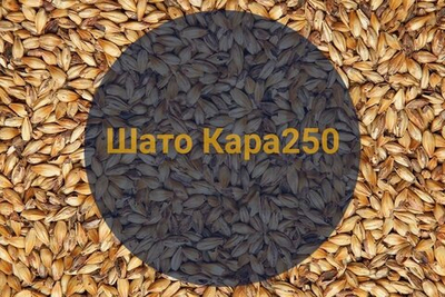 Солод Шато Кара 250 (Castle Malting), 1кг
