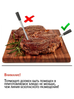 Термощуп Bluetooth