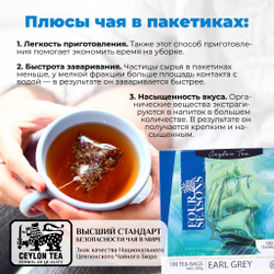4 сезона EarlGrey, черный цейлонский чай премиум качества, 100 пакетиков