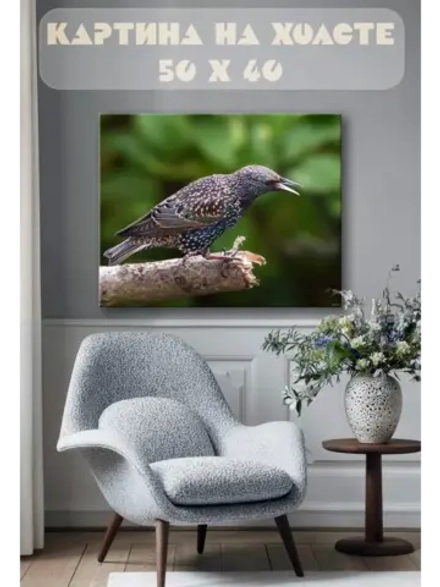 Картина на стену 40 X 50 Птица