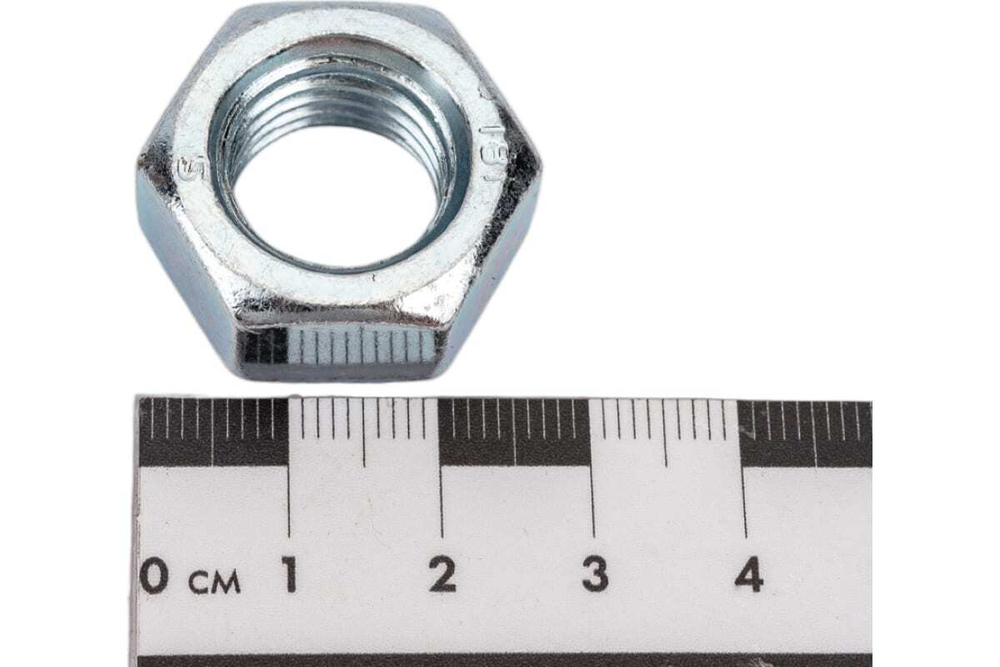 Гайка ЗУБР ГОСТ 5927-70, M16, 2 шт, кл. пр. 6, оцинкованная, 303556-16