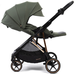 Прогулочная коляска Peppy Amici Green рама Gold