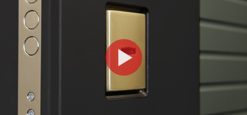 Стальная дверь "Сингапур" с зеркалом. Заказная модель.