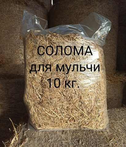 Солома ячменная  в пакете 10-11 кг самовывоз посёлок Аннино Садовая улица 46