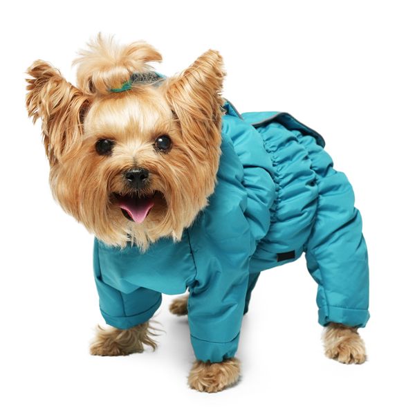 Комбинезон зимний Gamma 