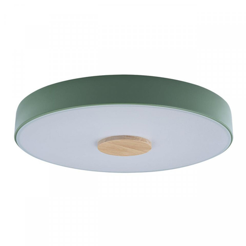 Потолочный светодиодный светильник Loft It Axel 10003/24 Green