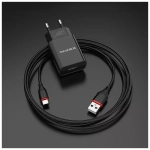 Сетевое зарядное устройство с кабелем Type-C 1-метр 2.1A BOROFONE BA20A