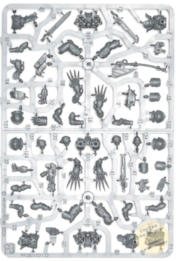 (2 in 1) Raptors / Warp Talons 2025