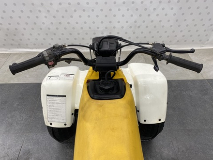 Yamaha YF100M , 2000