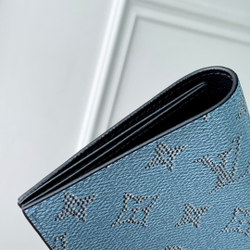 Louis Vuitton Passport Cover