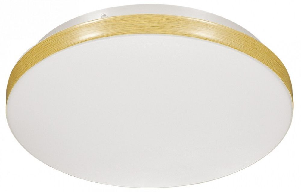 Накладной светильник Sonex Smalli 3066/AL