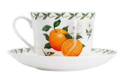 Чашка с блюдцем Апельсин в подарочной упаковке Maxwell & Williams