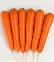 Натива F1 семена моркови курода/шантане (Sakata / Саката)