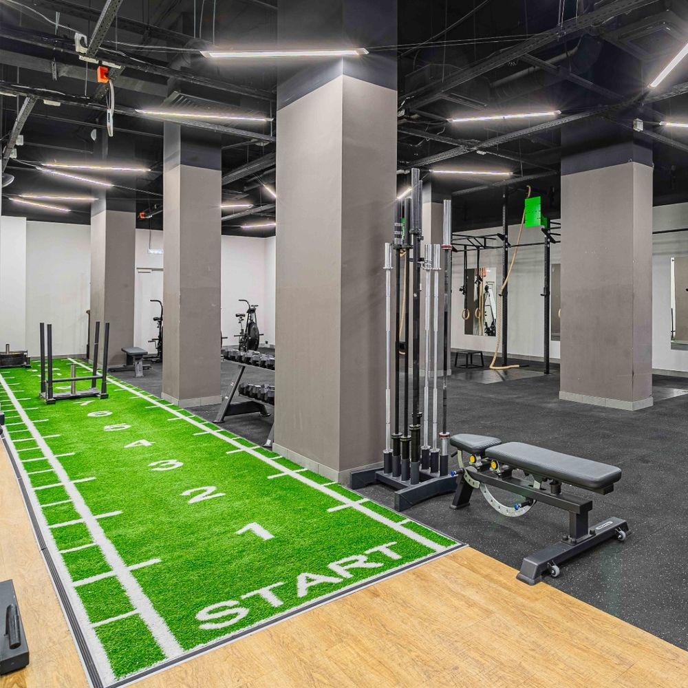 Искусственный газон (трава) для функционального тренинга с разметкой 2x15 TANGEN