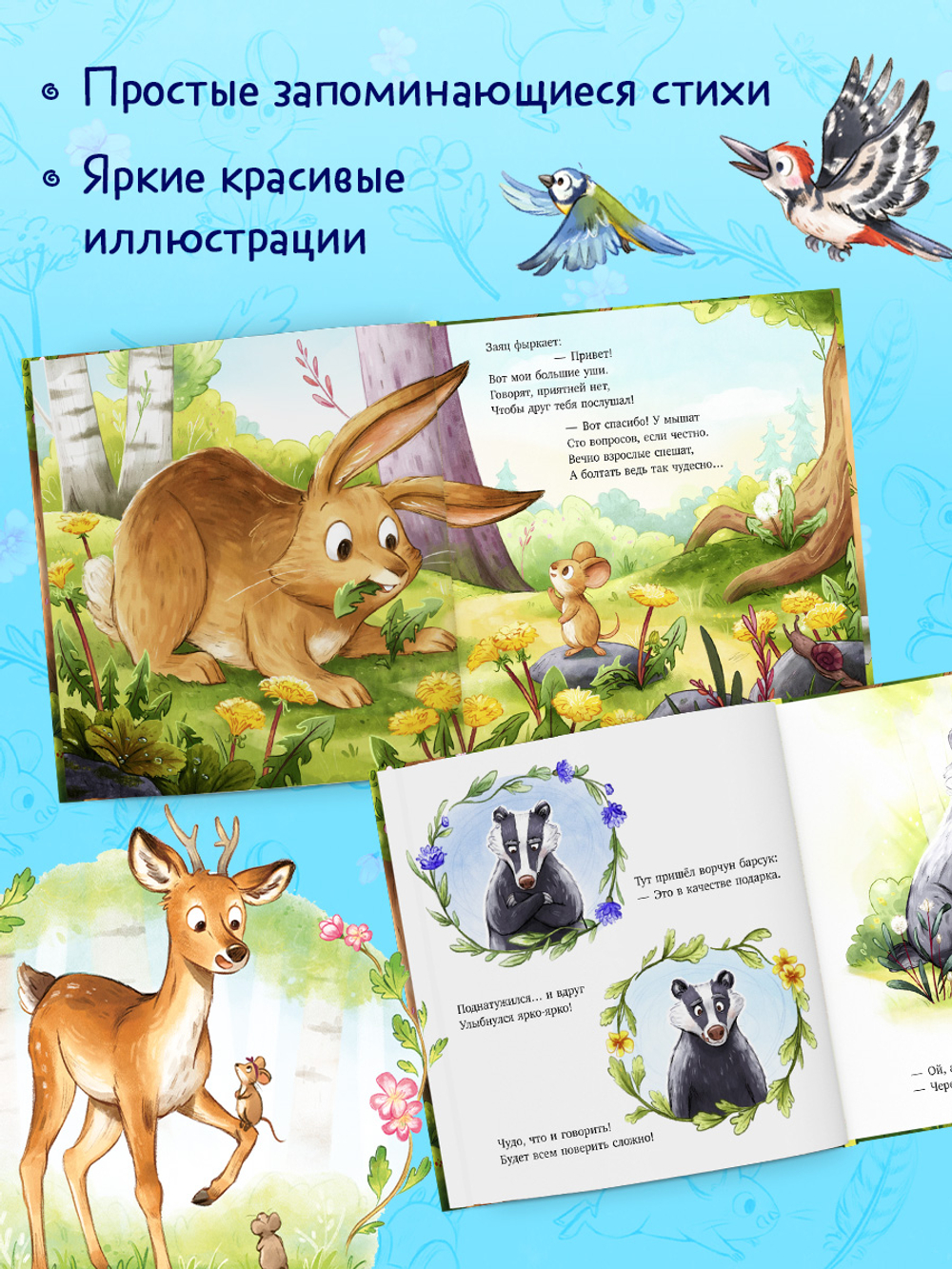 Книжки-картинки. Важный день малышки Мышки