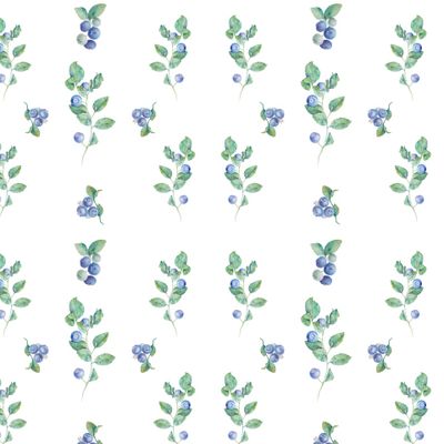 Черничные ветви. Blueberry branches.