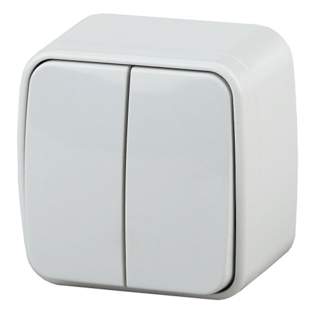 3-104-01 Intro Выключатель двойной, 10А-250В, IP20, ОУ, Polo, белый