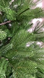 Ель искусственная «Хлоя» (Литая хвоя) 270 см / 2,7 м