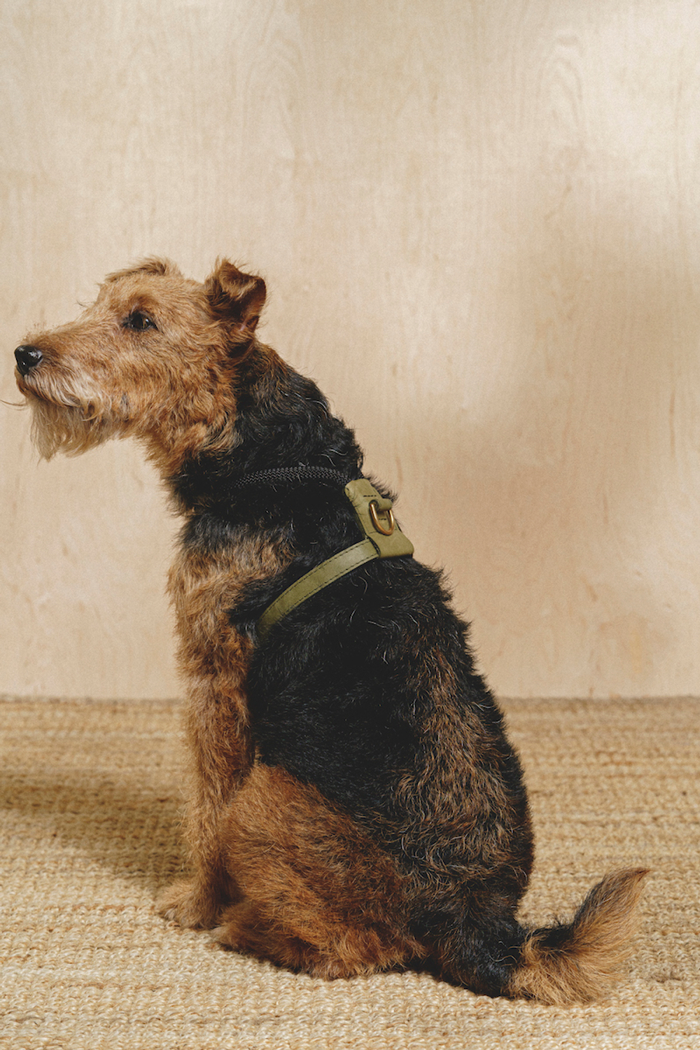 Шлейка "Пони-Макарони" Зеленая