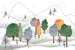 Коллекция Adventure